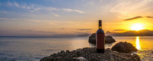 The Ultimate Guide to Wine Tumblers: Elevating Your Wine Experience